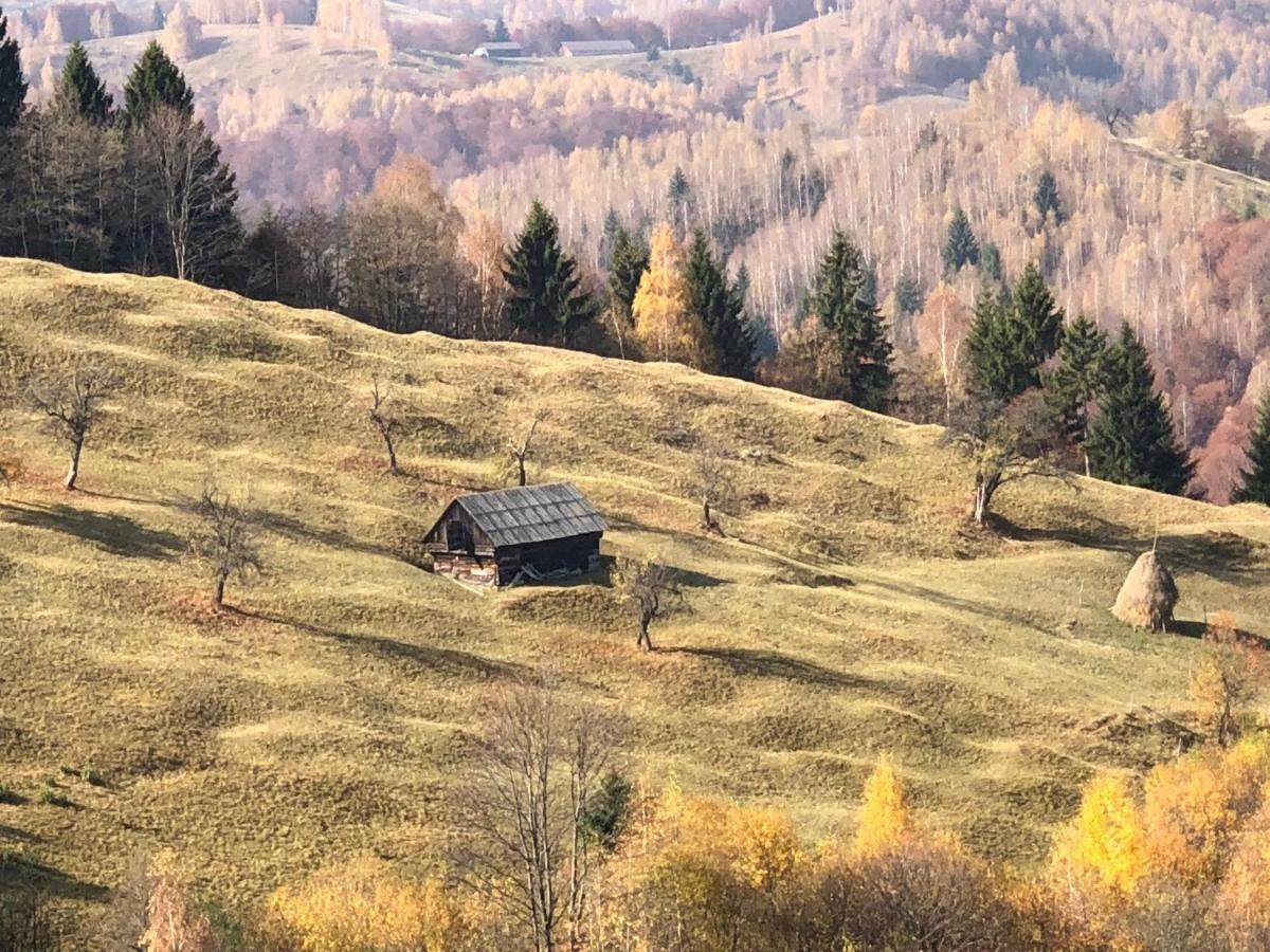 La Maison Des Reves - Bran Bran  Dış mekan fotoğraf
