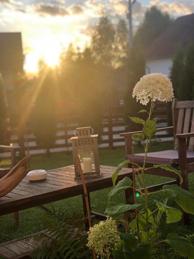 La Maison Des Reves - Bran Bran  Dış mekan fotoğraf