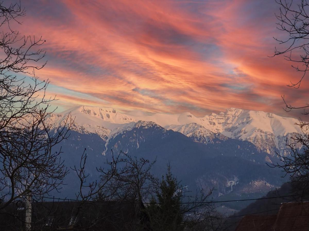 La Maison Des Reves - Bran Bran  Dış mekan fotoğraf