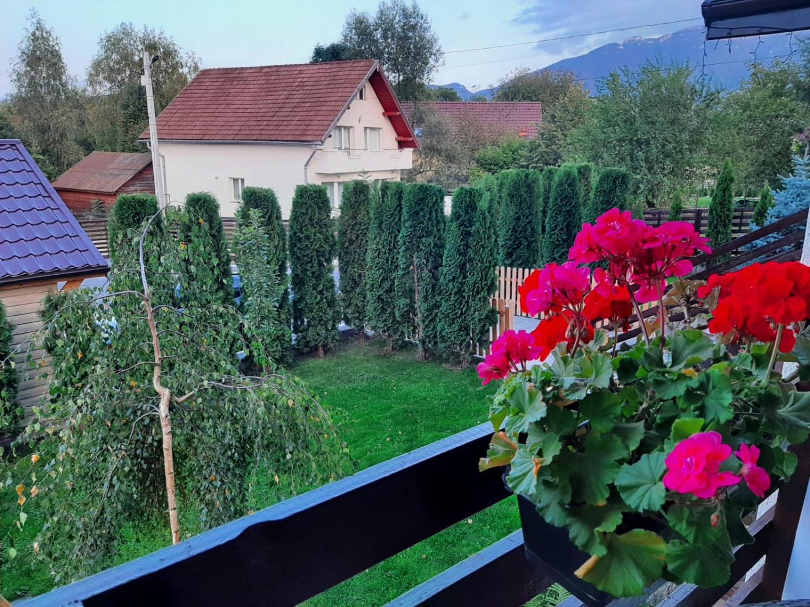 La Maison Des Reves - Bran Bran  Dış mekan fotoğraf