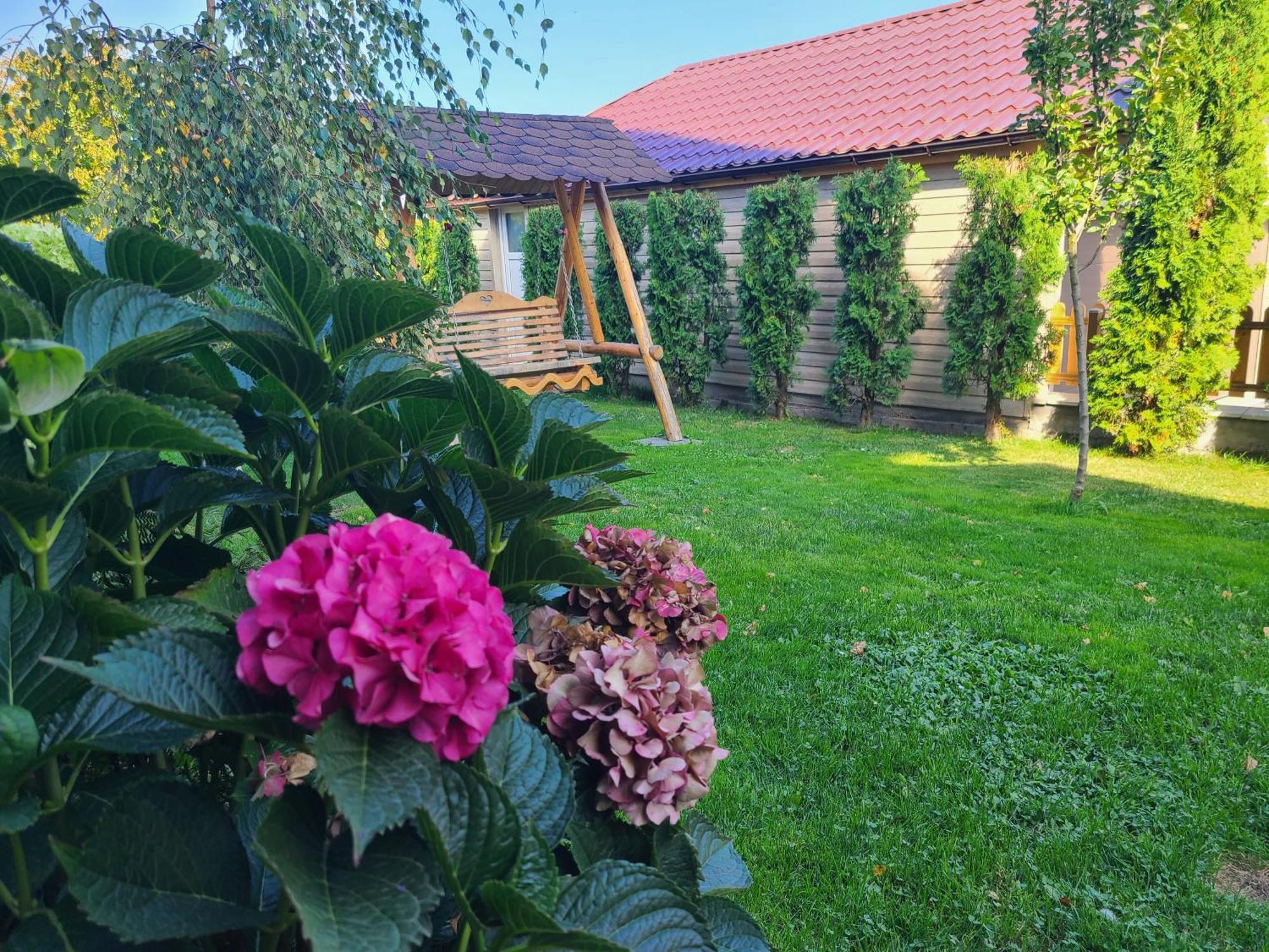 La Maison Des Reves - Bran Bran  Dış mekan fotoğraf
